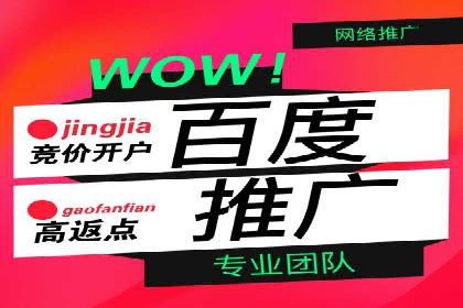 SEM代运营案例：打造高效广告投放方案